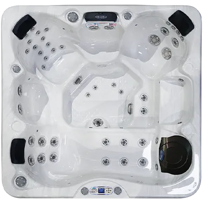 Avalon EC-849L hot tubs for sale in Utica