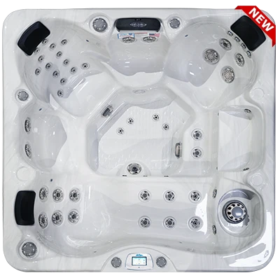 Avalon-X EC-849LX hot tubs for sale in Utica